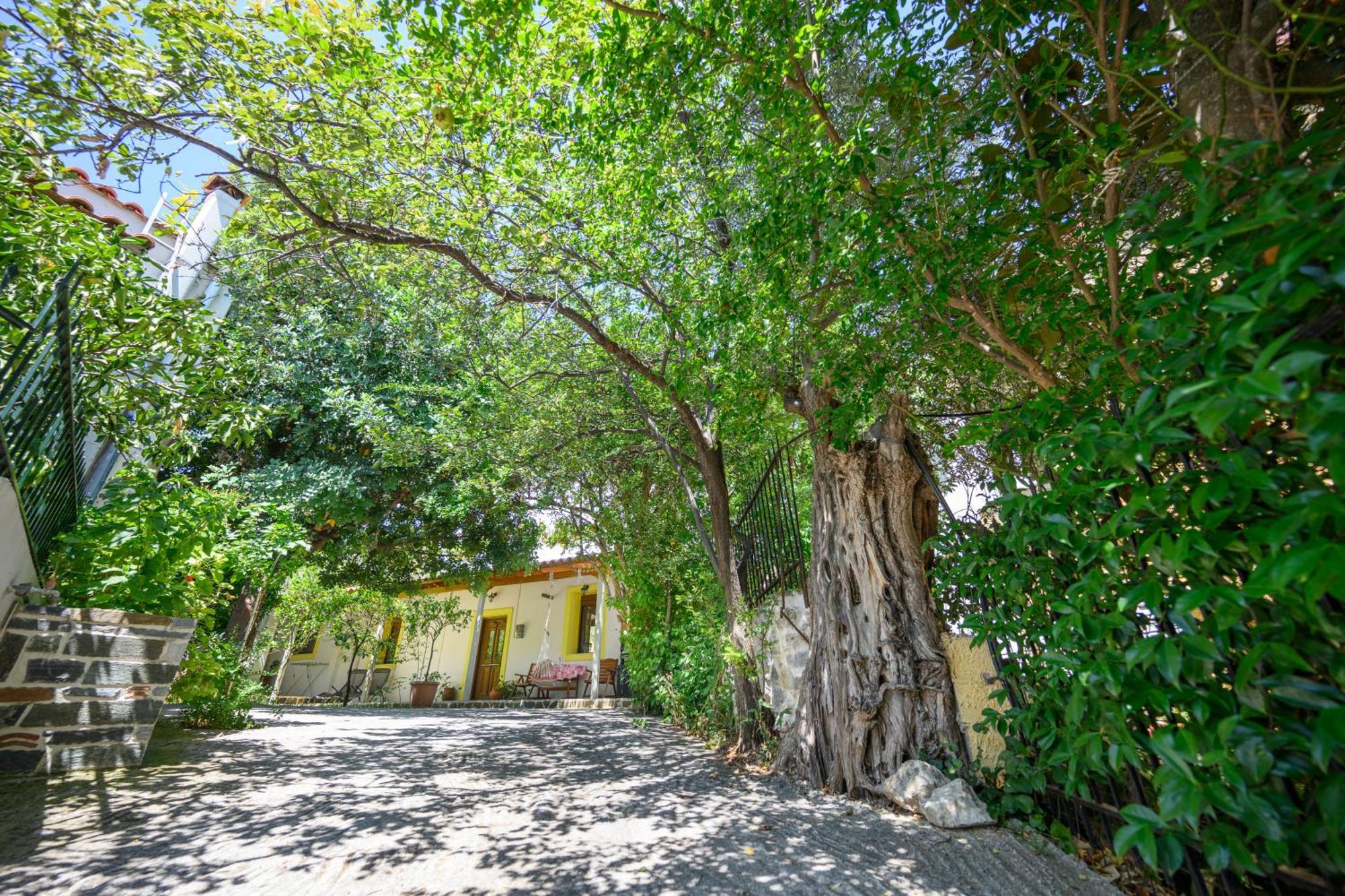 Villa Small Gerani Agios Vlasios (Euboea)